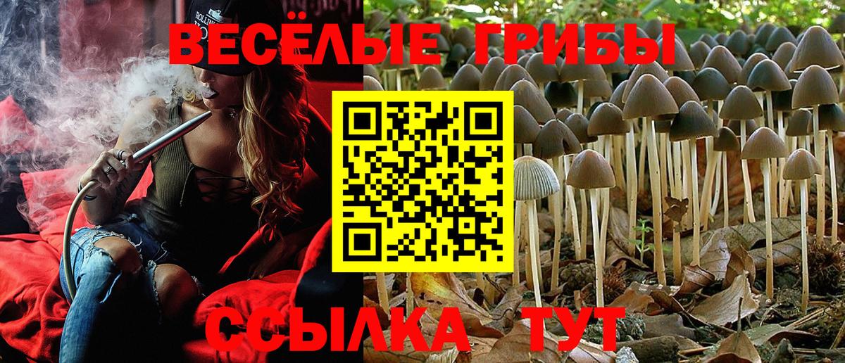 Новоалександровск  Псилоцибиновые грибы мухоморы  Вход с VPN 